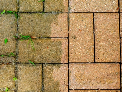 A close up of the side of a brick walkway